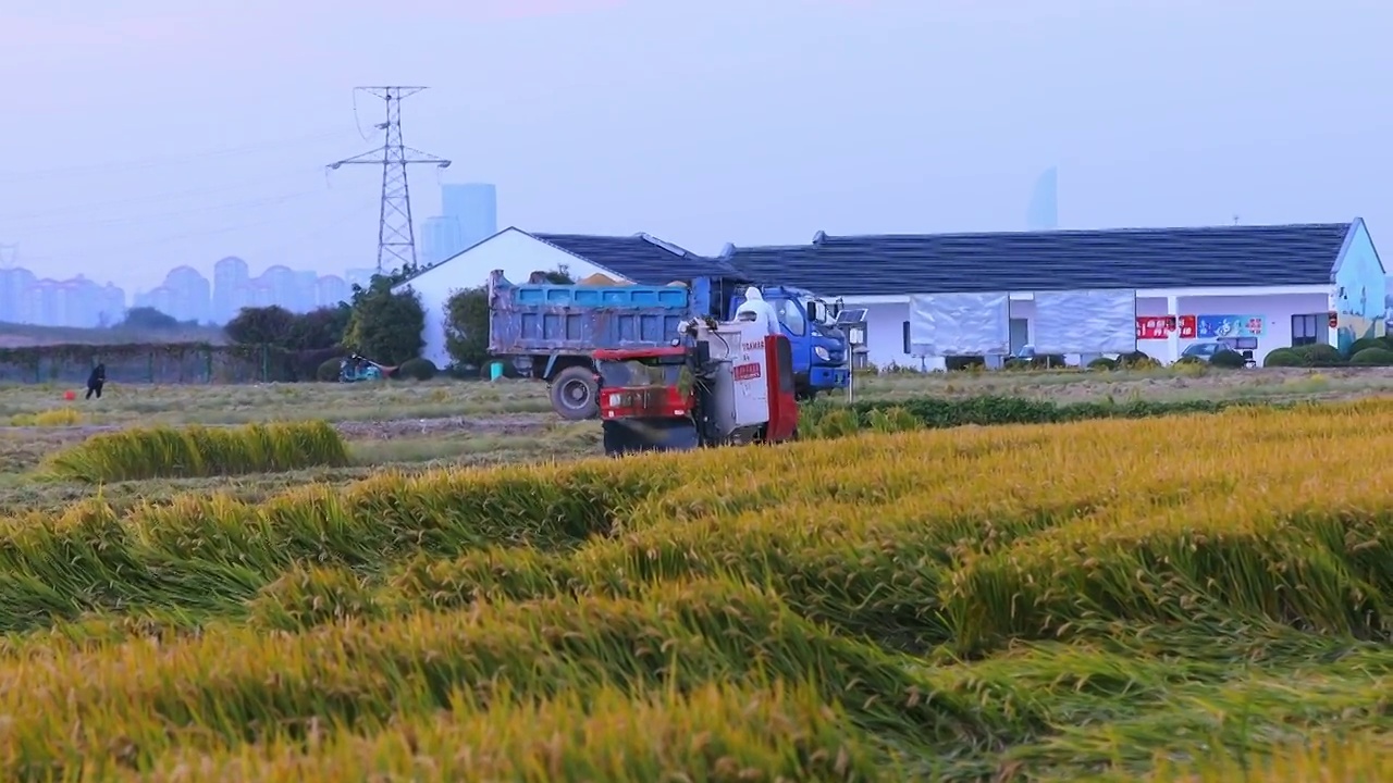 苏州园区甪直澄湖农业示范区视频素材