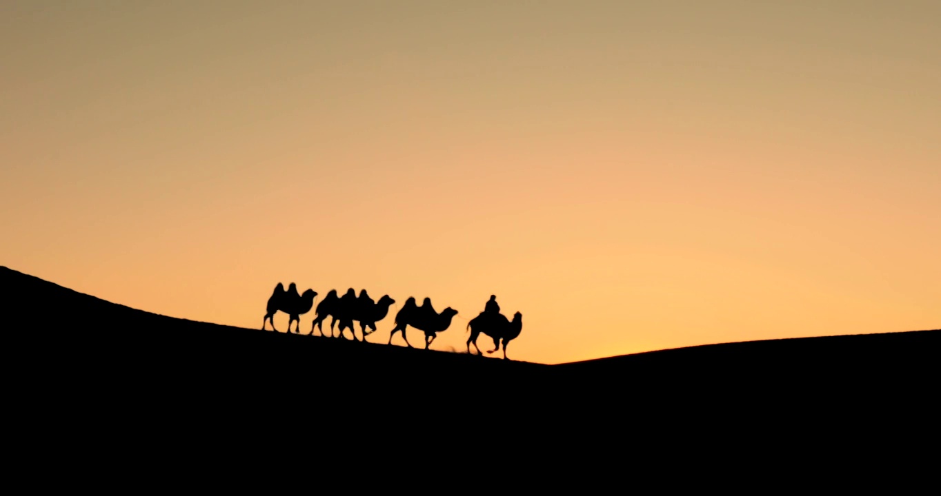 日落，骆驼，驼队，剪影，夕阳，动物，沙漠，逆光，巴丹吉林沙漠视频下载