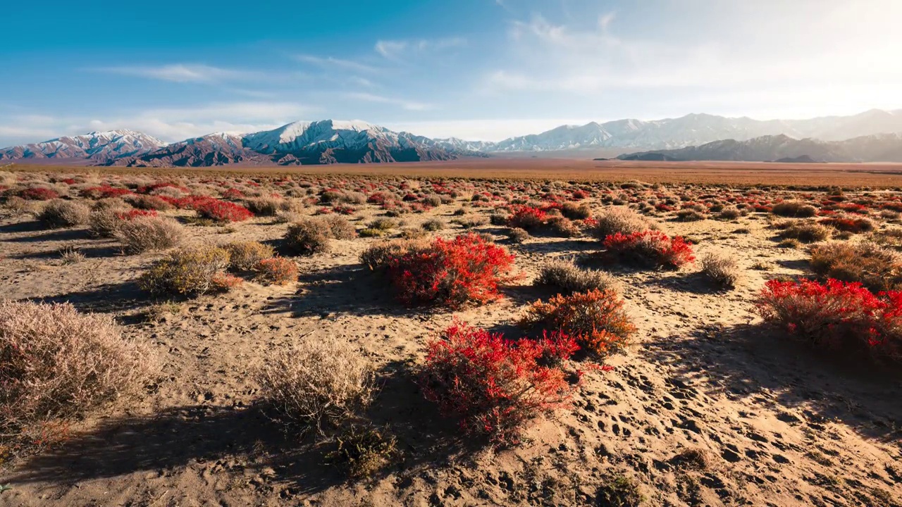 8K延时沙漠日落雪山与沙漠植物视频下载