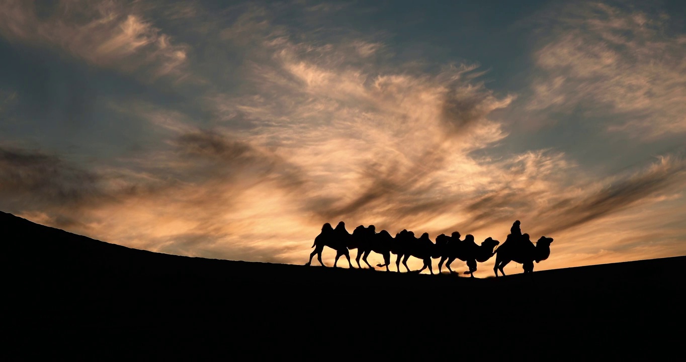 夕阳，日落，晚霞，骆驼，驼影，运输，天空，云，沧桑的，动物视频下载