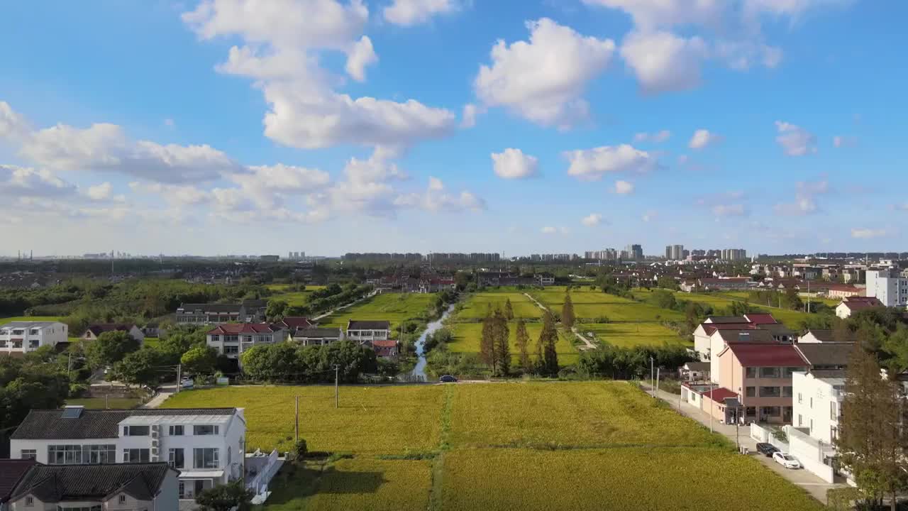 航拍上海田园风光视频素材