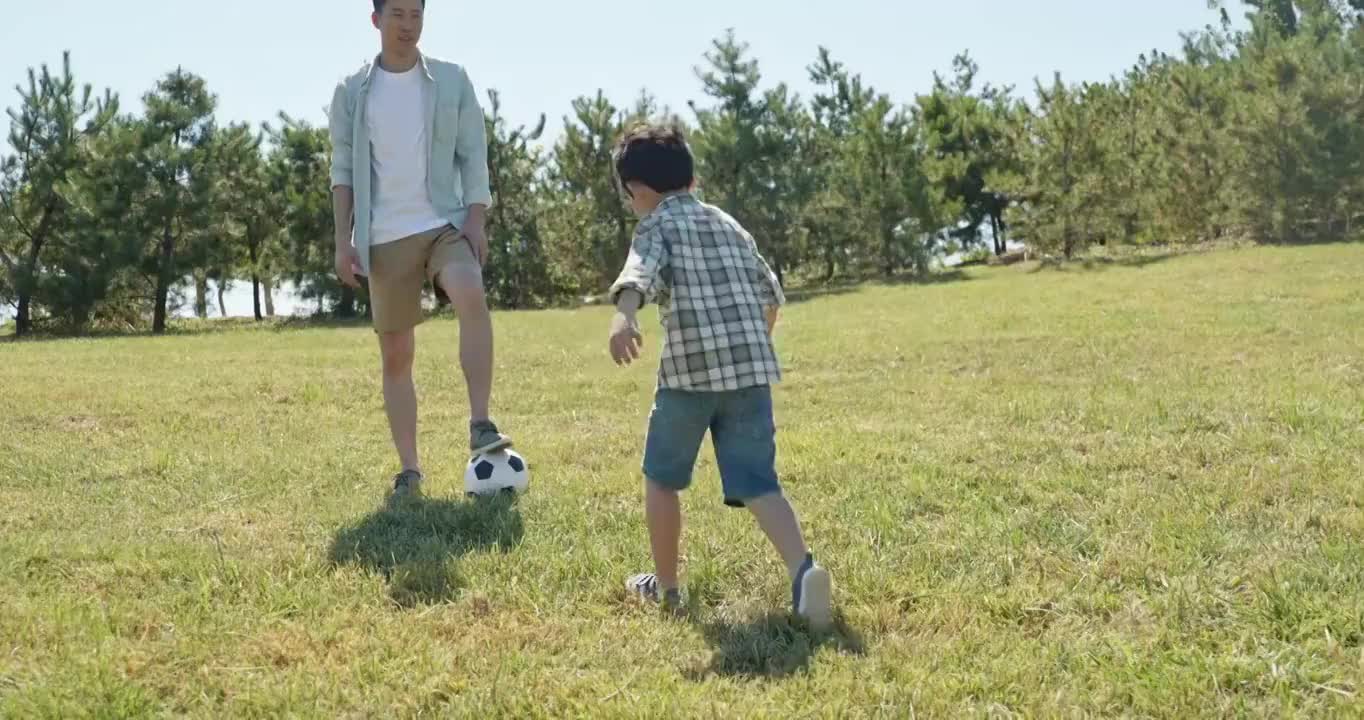 快乐的父子俩在草地上踢足球视频购买