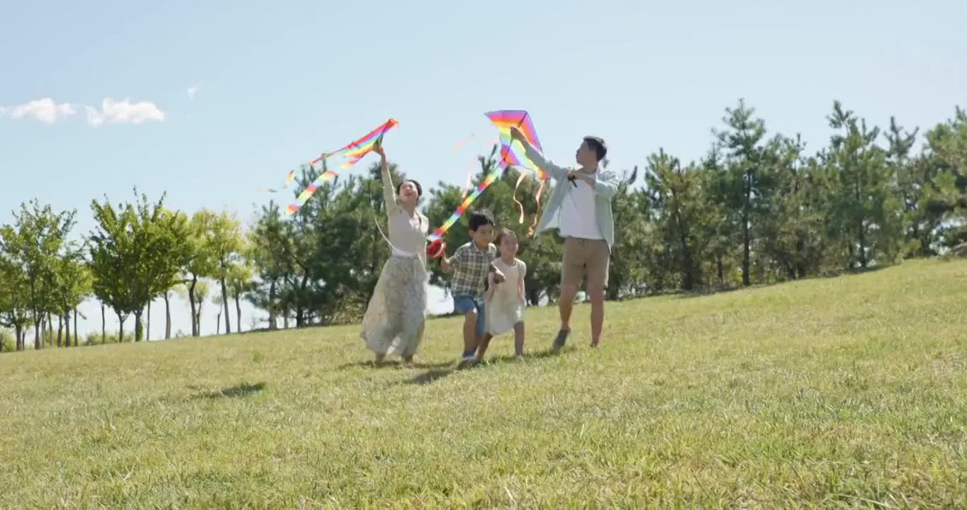快乐的年轻家庭在草地上放风筝视频下载