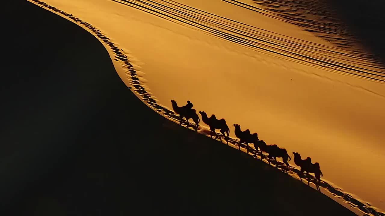 巴丹吉林沙漠日落的驼队，骆驼，动物，侧光，分割线，夕阳，剪影视频下载