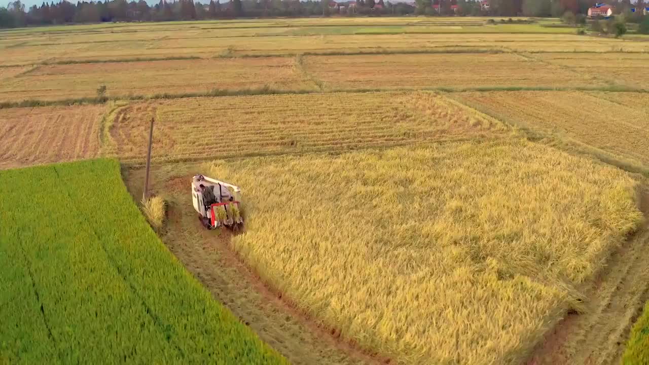 4k航拍农田收割视频视频素材