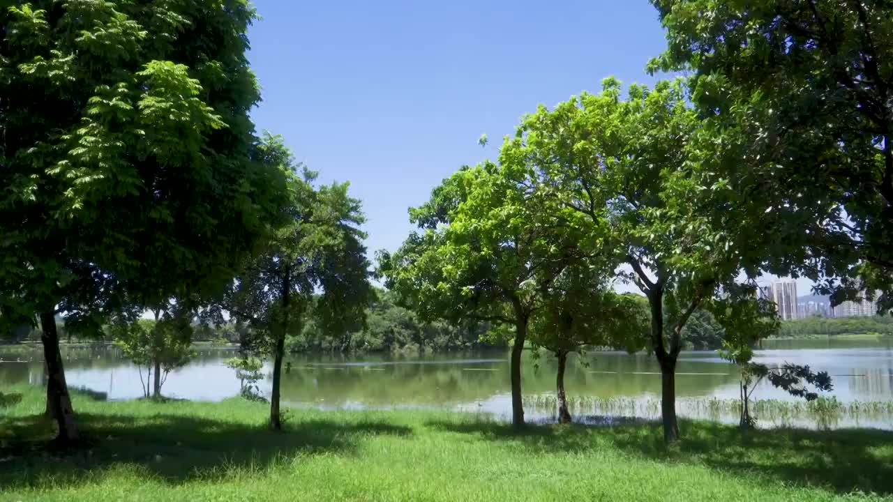 广东清远飞来湖湿地公园风景视频素材
