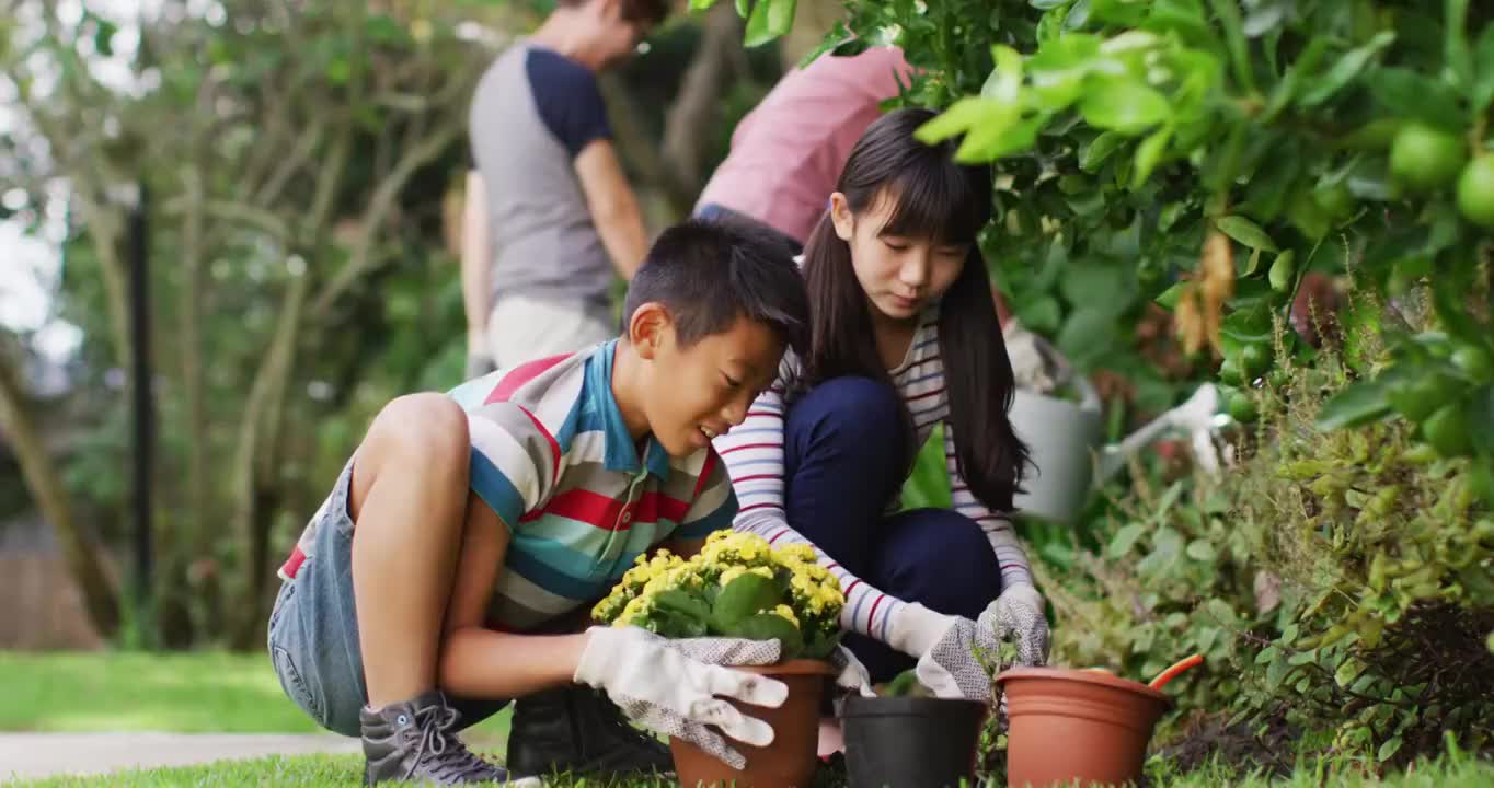 快乐的亚洲兄弟姐妹在花园里，种花和聊天，与父母在背后视频素材