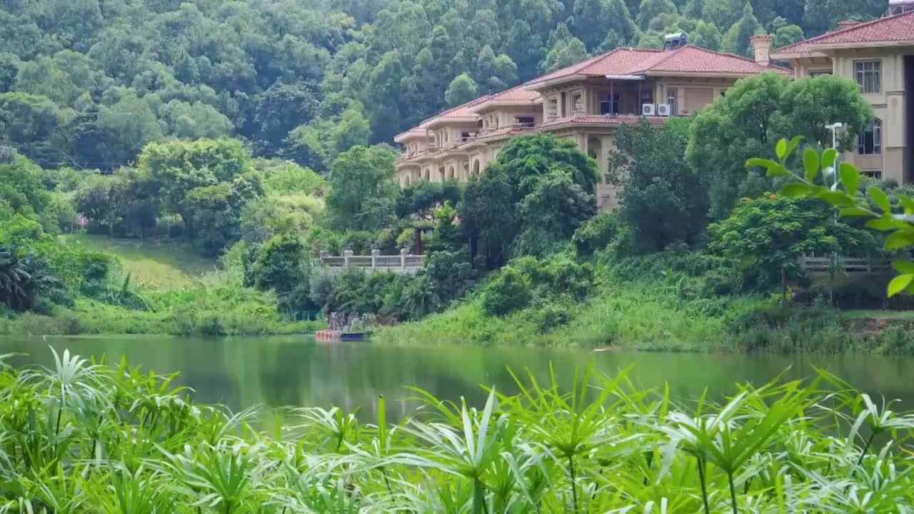 山林和湖水之间的别墅区视频素材