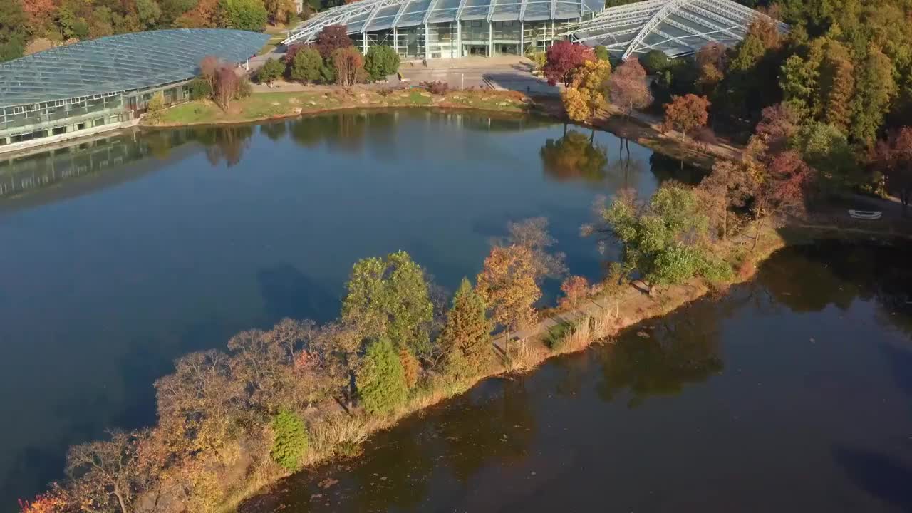 秋天的紫金山植物园宁静优美视频素材