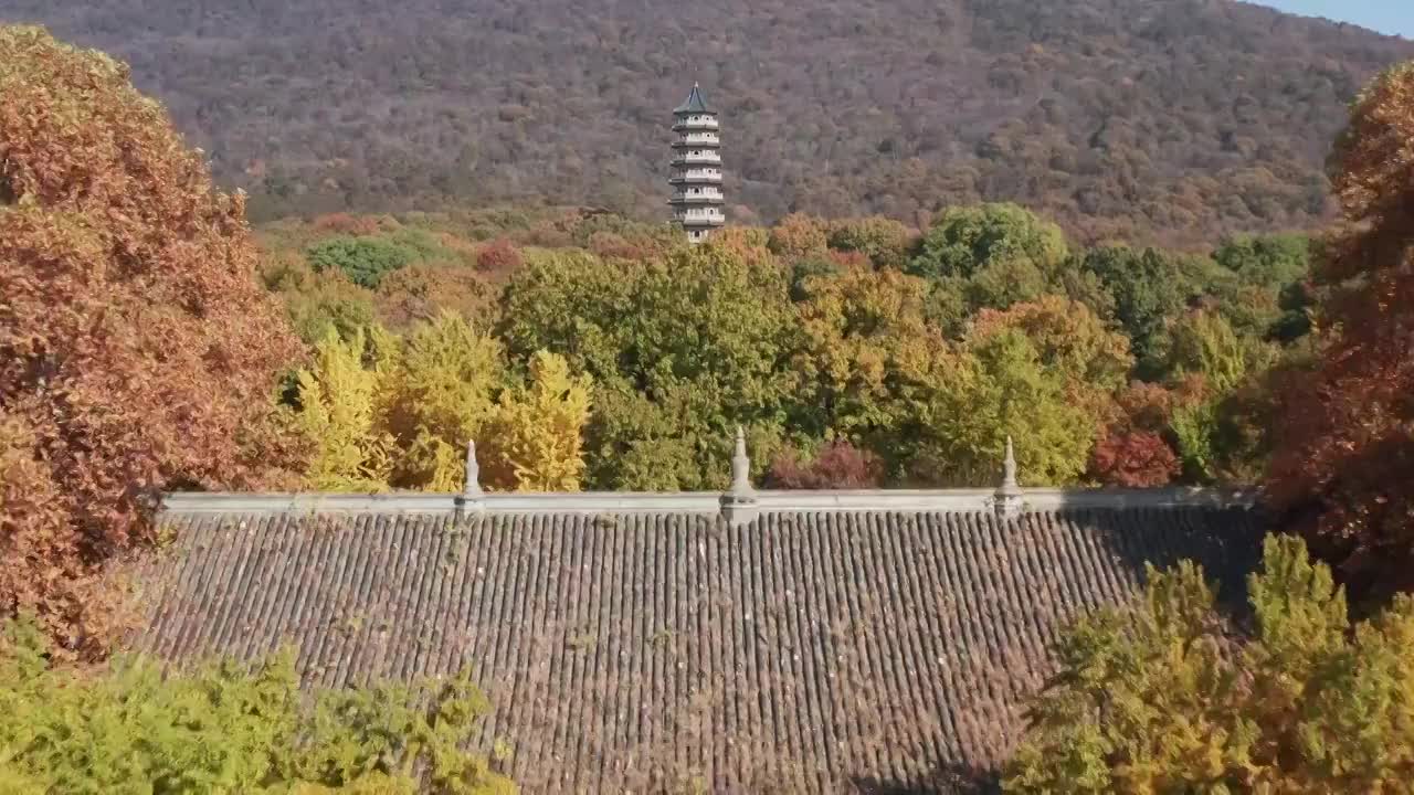 金秋时分的南京紫金山灵谷寺视频素材