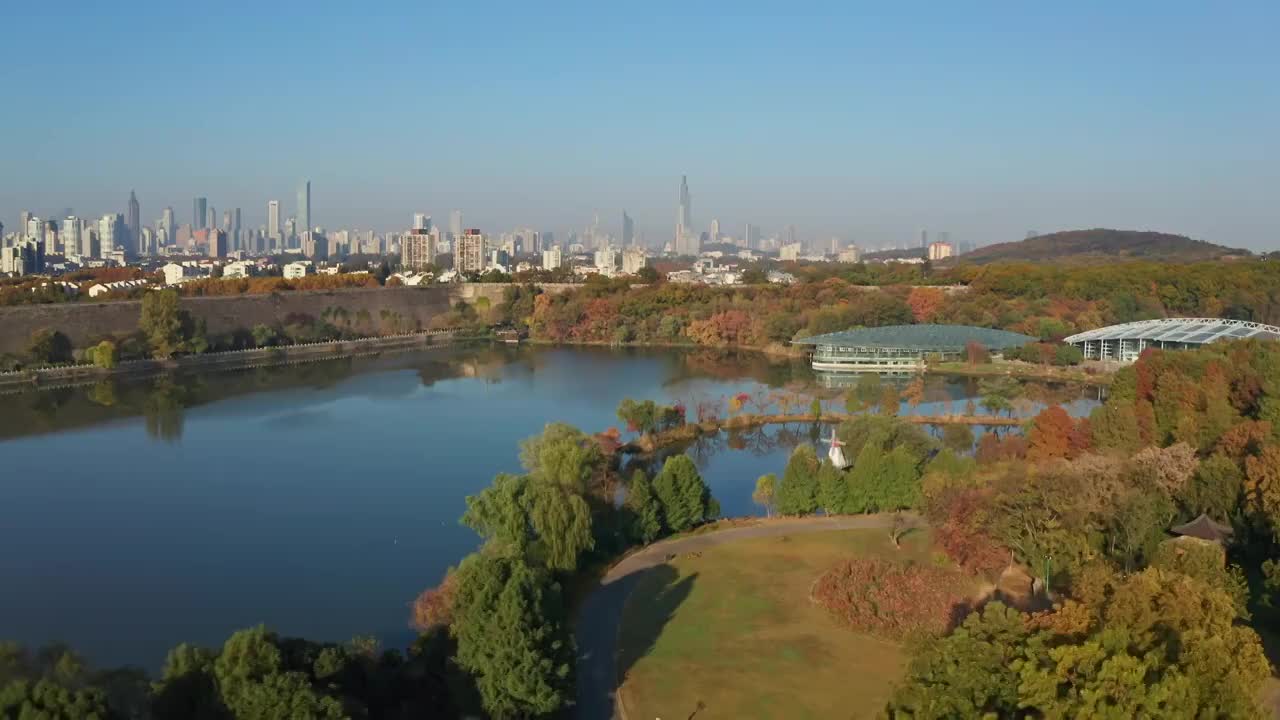 秋天的南京紫金山前湖视频素材