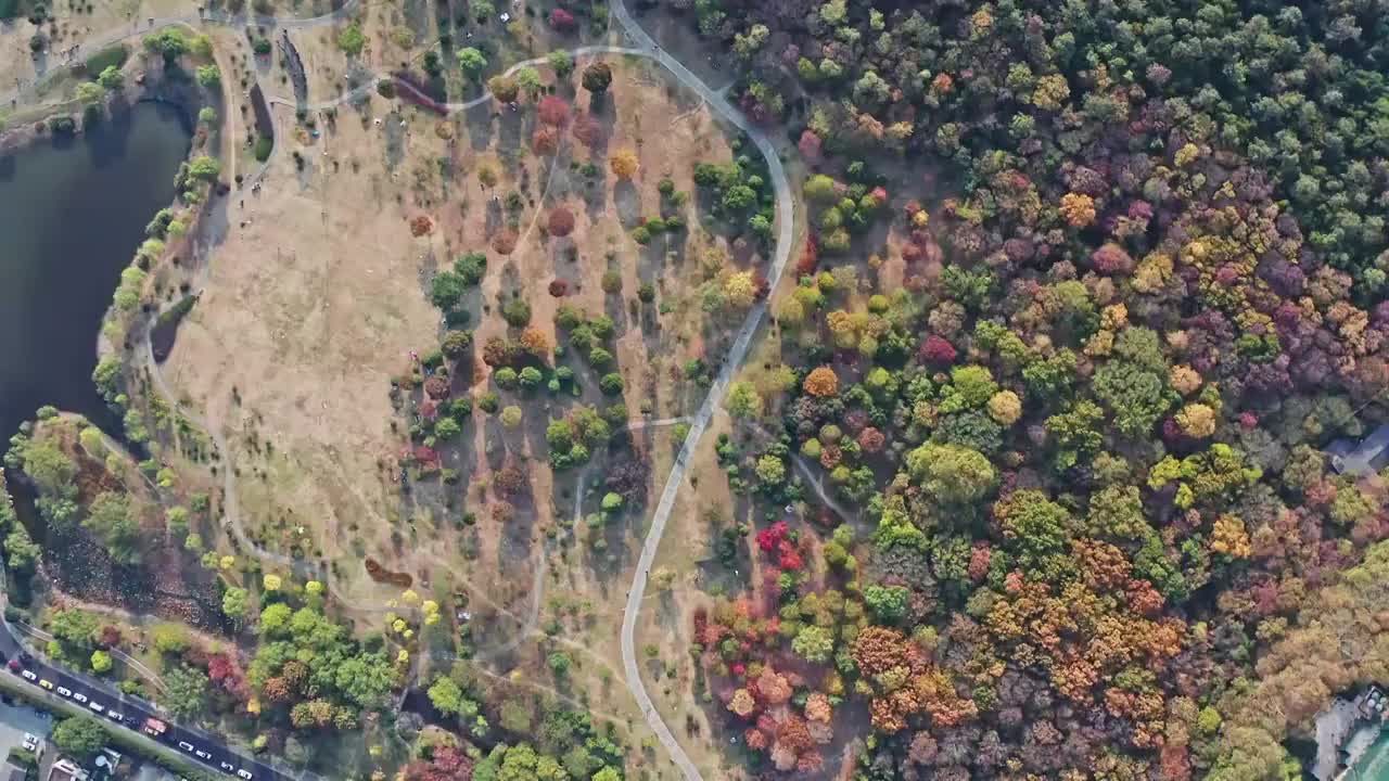 色彩缤纷的山林秋色视频素材