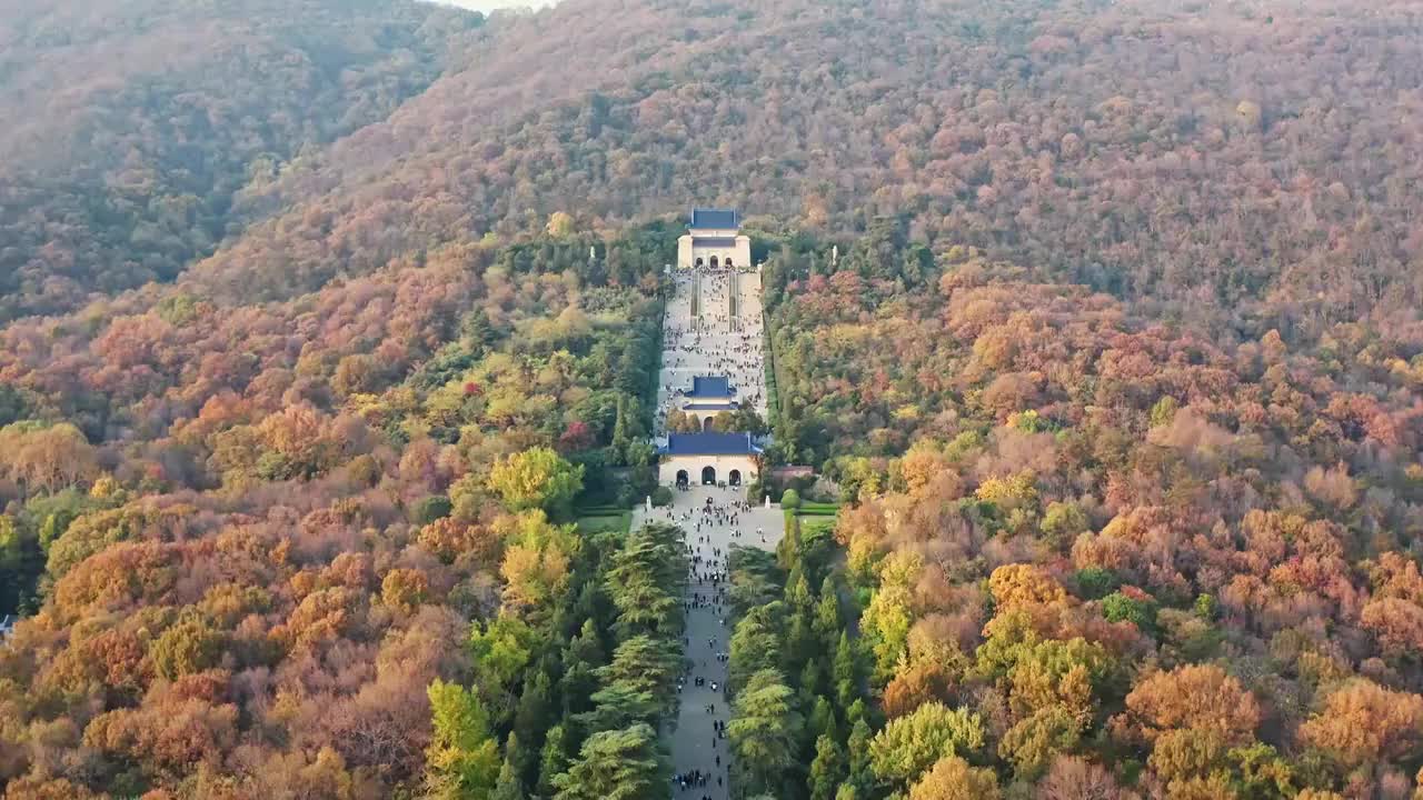 航拍秋季的南京中山陵视频素材