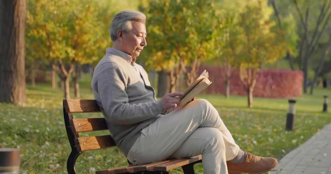 老年人在公园读书视频下载