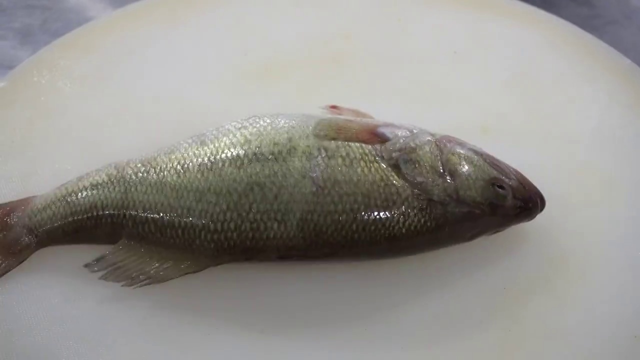 中餐厨师制作鲈鱼视频下载