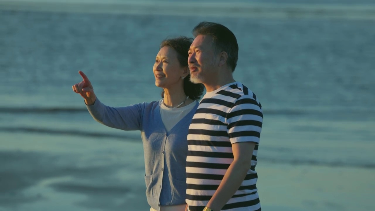 快乐的老年夫妇在海边散步视频素材