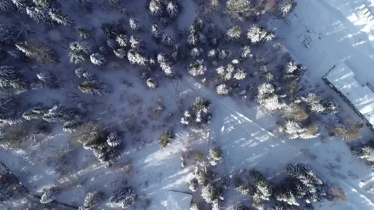 黑龙江：航拍冬季的雪乡国家森林公园视频素材