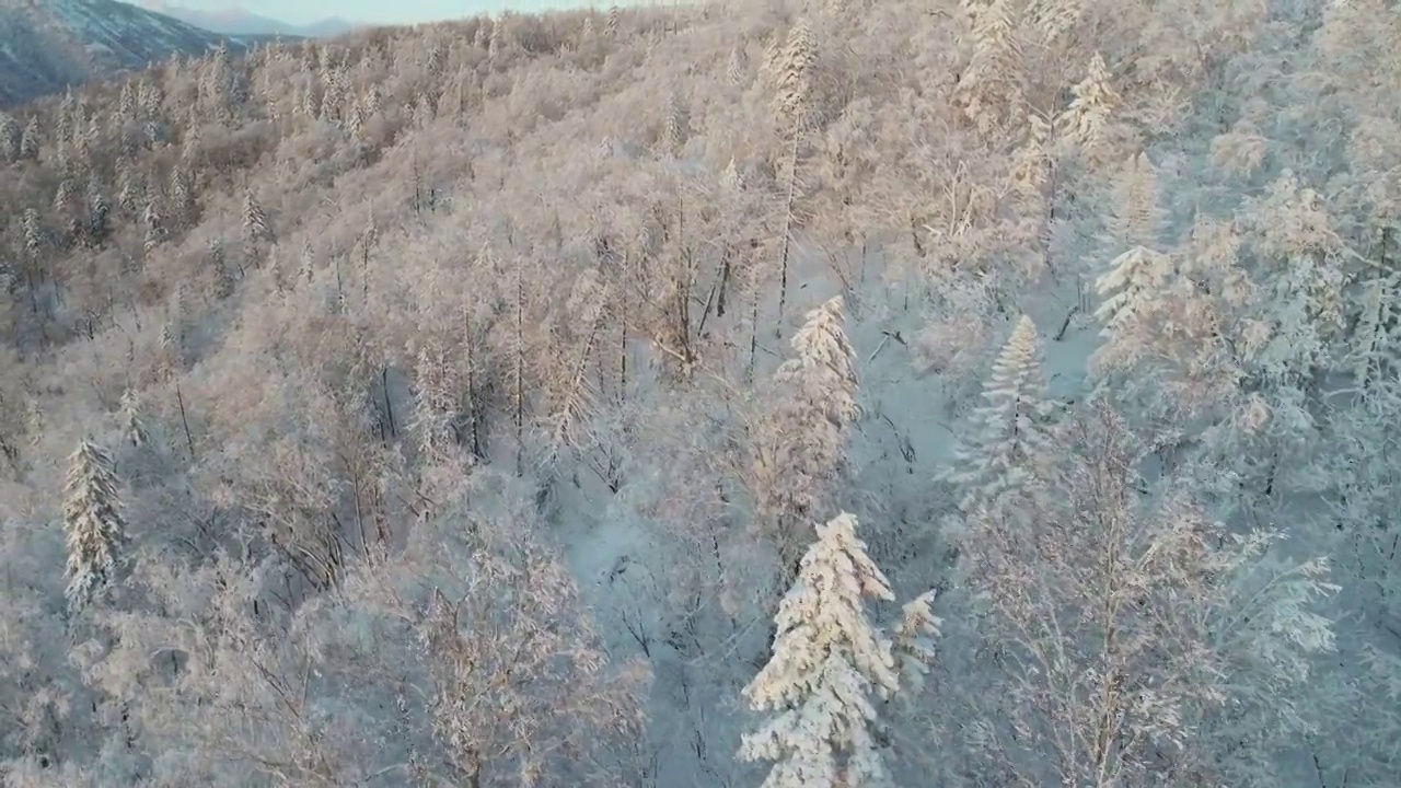 航拍冬天的雪乡国家森林公园视频素材