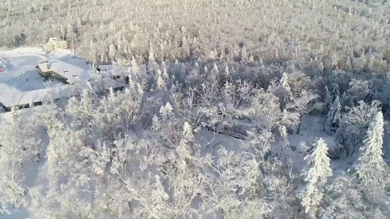 航拍冬天的雪乡国家森林公园视频素材