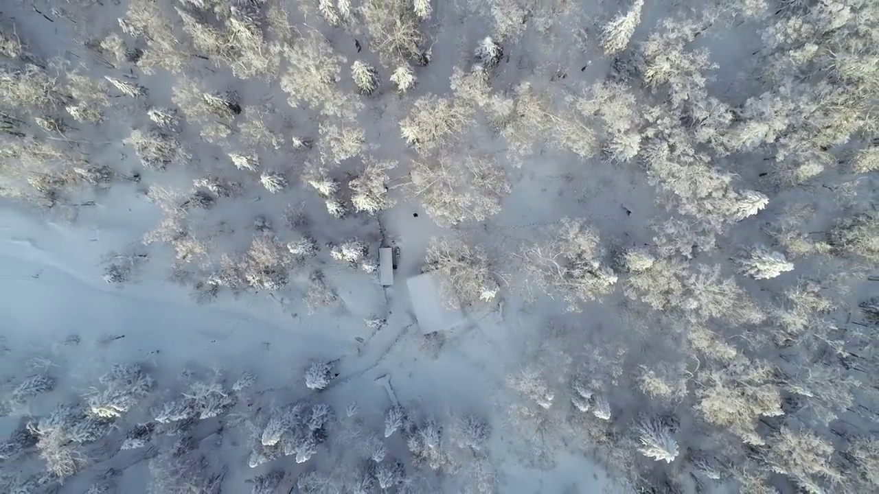 航拍冬天的雪乡国家森林公园视频下载
