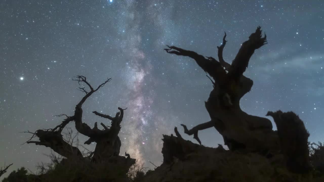 星空延时：新疆哈密伊吾胡杨林银河流动视频素材