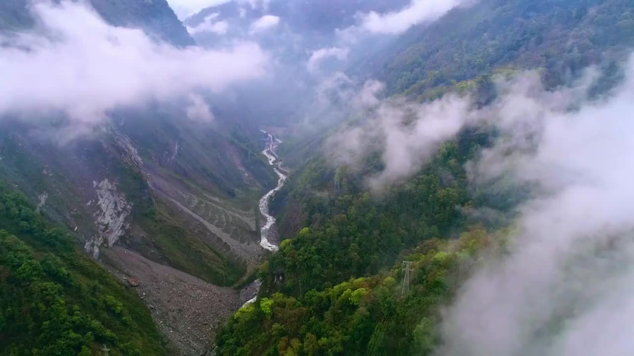 中国四川省卧龙云雾缭绕的山谷视频素材