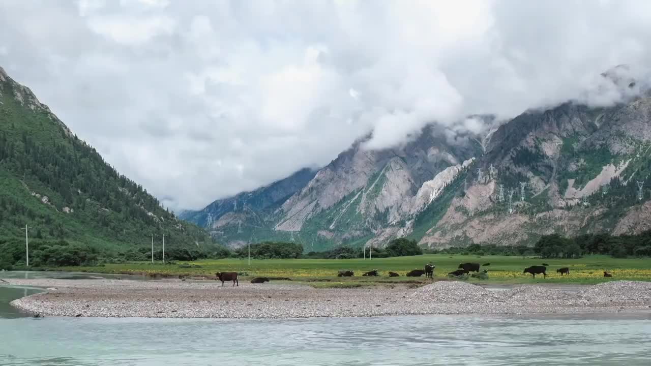群山下的牛马在河边吃草延时视频素材