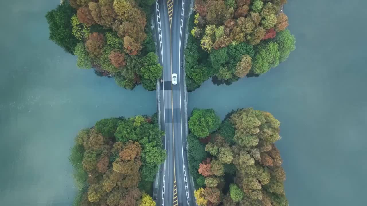 4K航拍秋季杭州西湖杨公堤隐秀桥视频素材