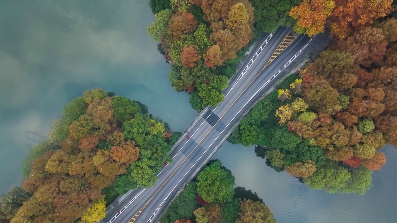 4K航拍杭州西湖杨公堤的秋天视频素材