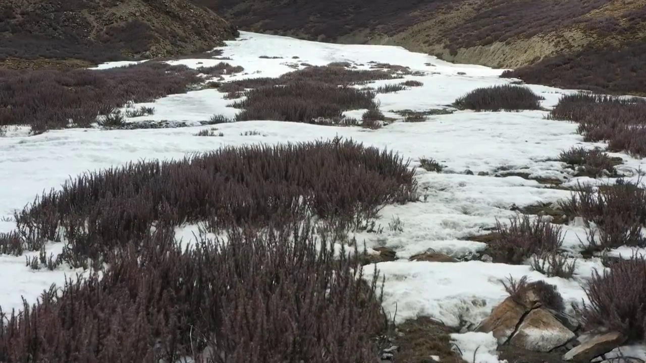 西藏山南：乃钦康桑峰与卡若拉冰川春季风光视频素材