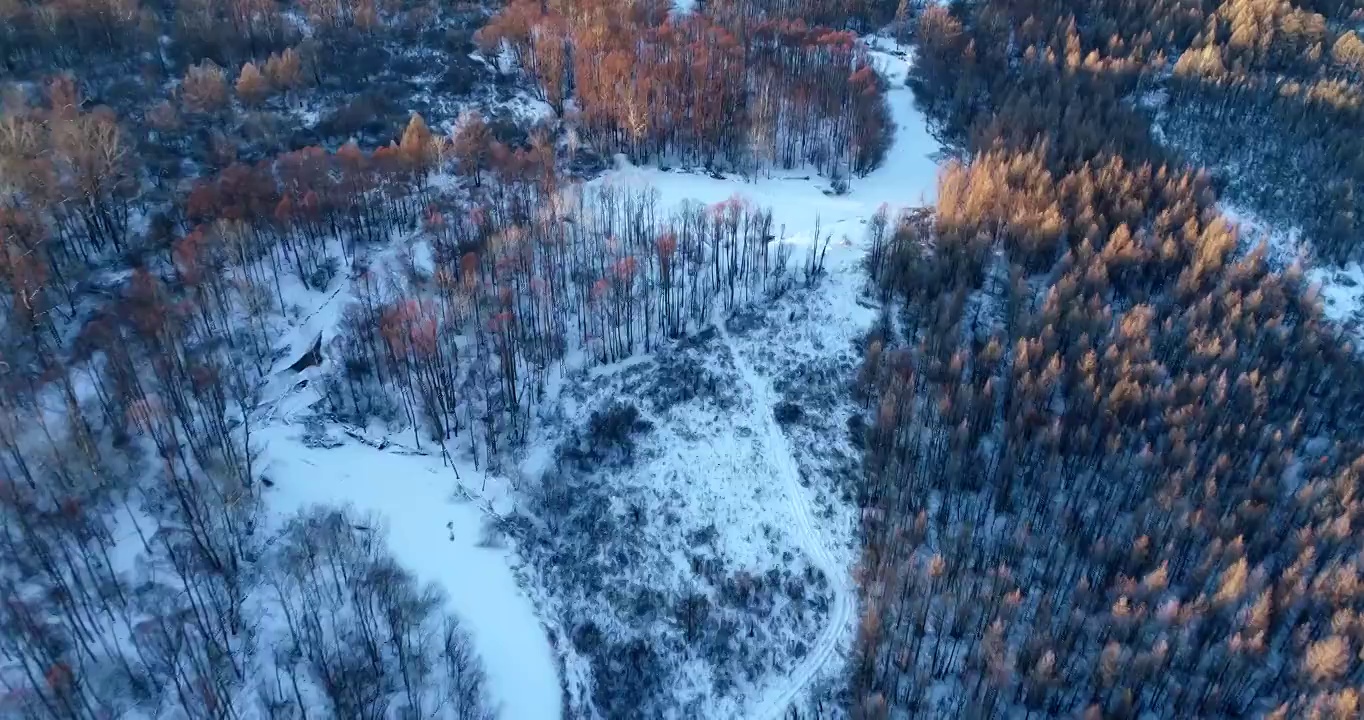 航拍大兴安岭冻土森林疏林湿地雪景视频素材