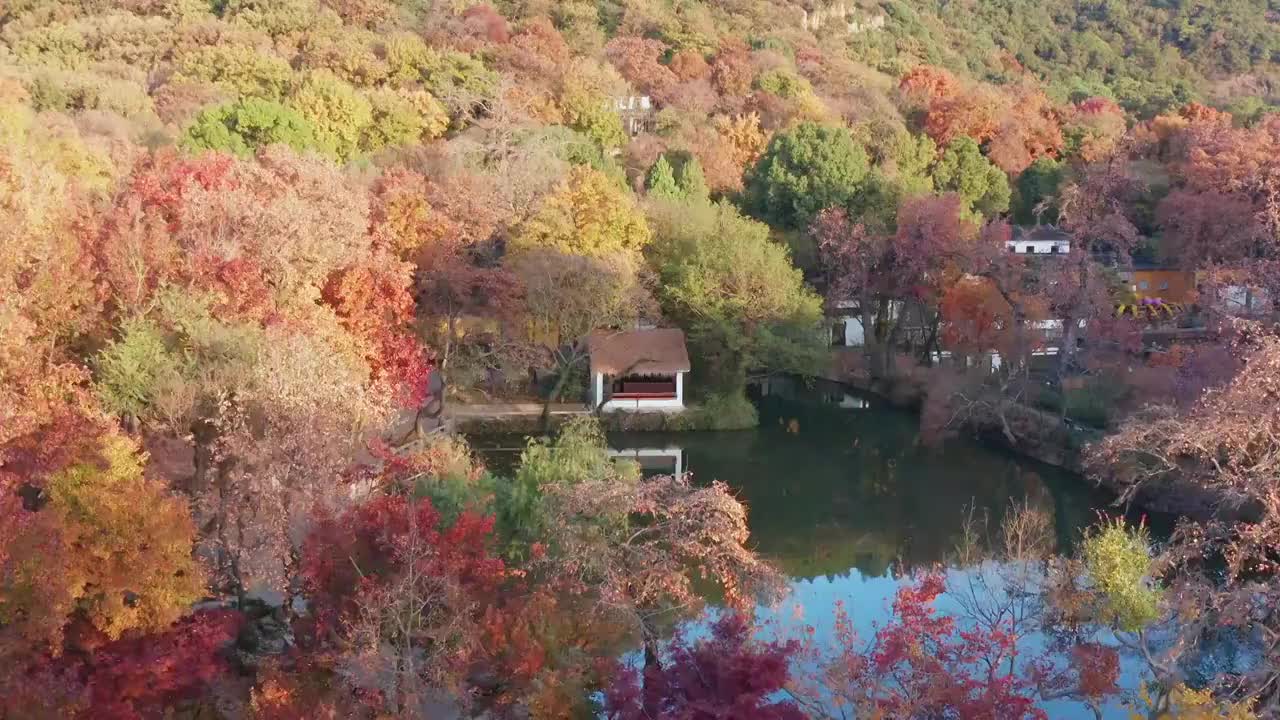 苏州新区天平山的秋色迷人视频素材