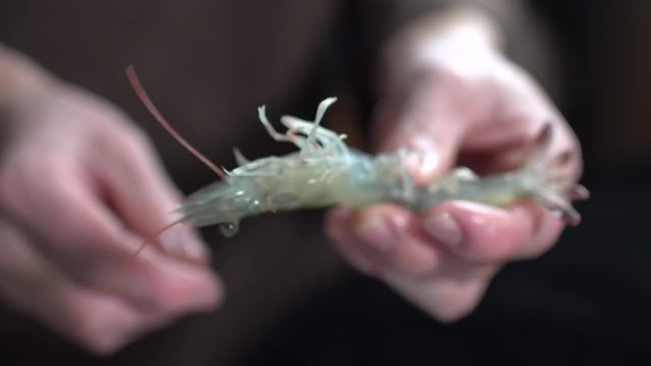 厨师制作虾仁视频素材