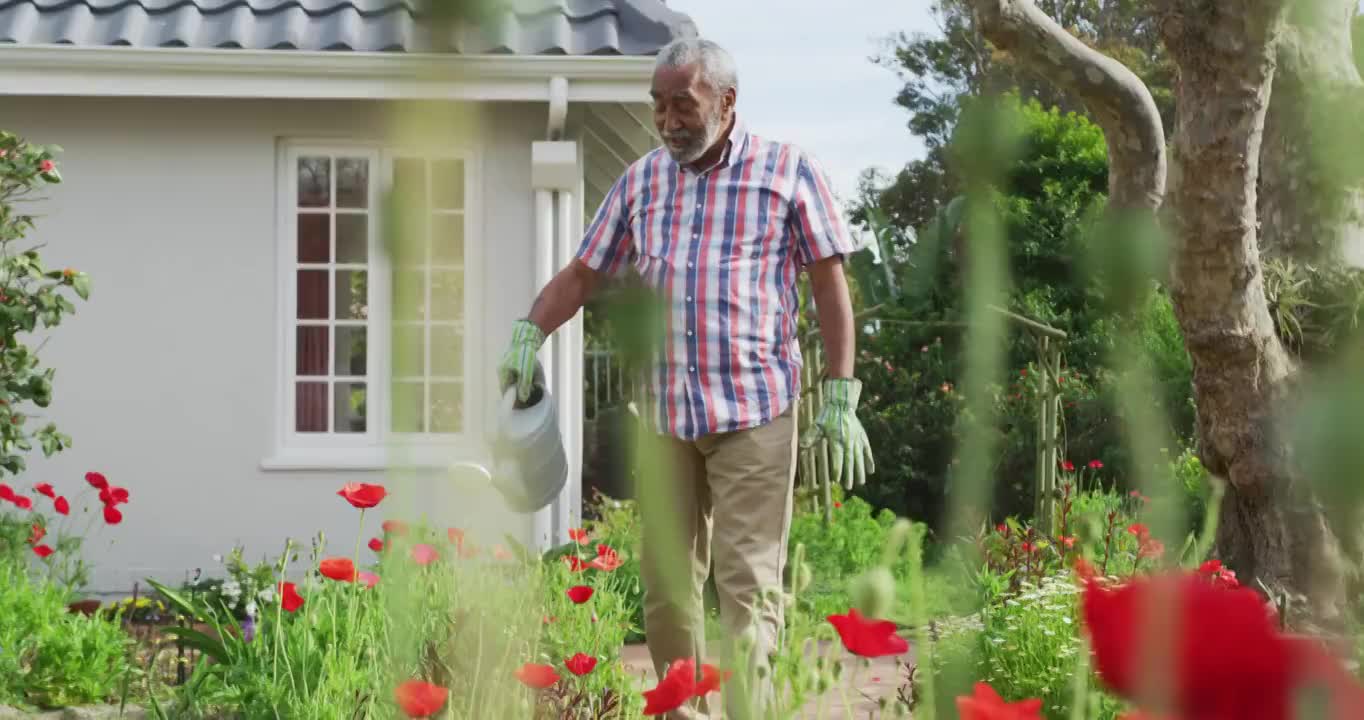 动画的非洲裔美国老人园艺，浇花视频下载