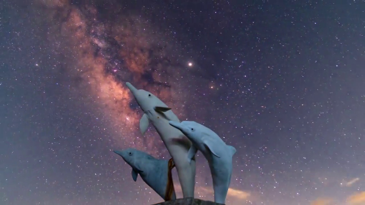 三娘湾海豚雕塑银河延时视频下载
