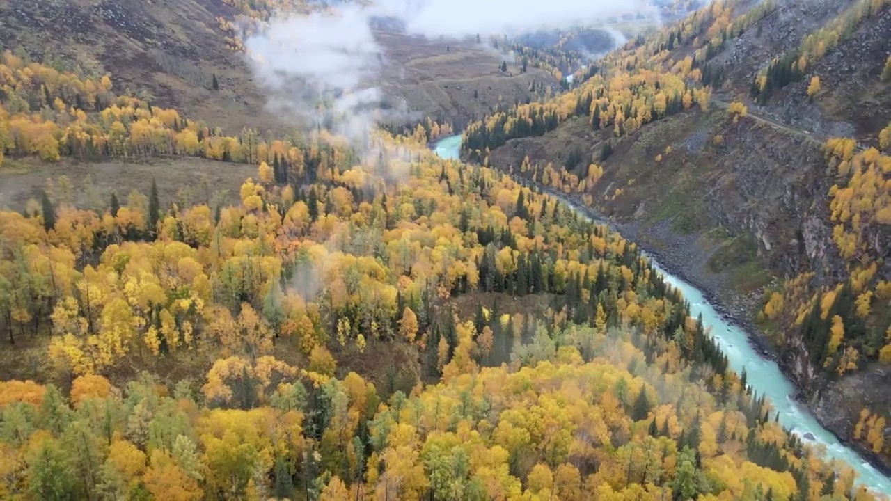 新疆阿勒泰布尔津喀纳斯景区晨雾秋景航拍视频下载