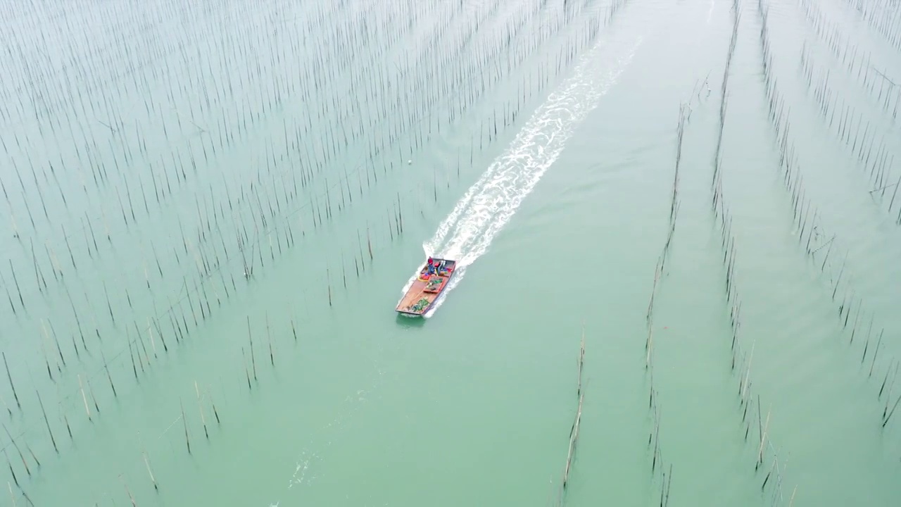 航拍福建霞浦开动的渔船视频素材