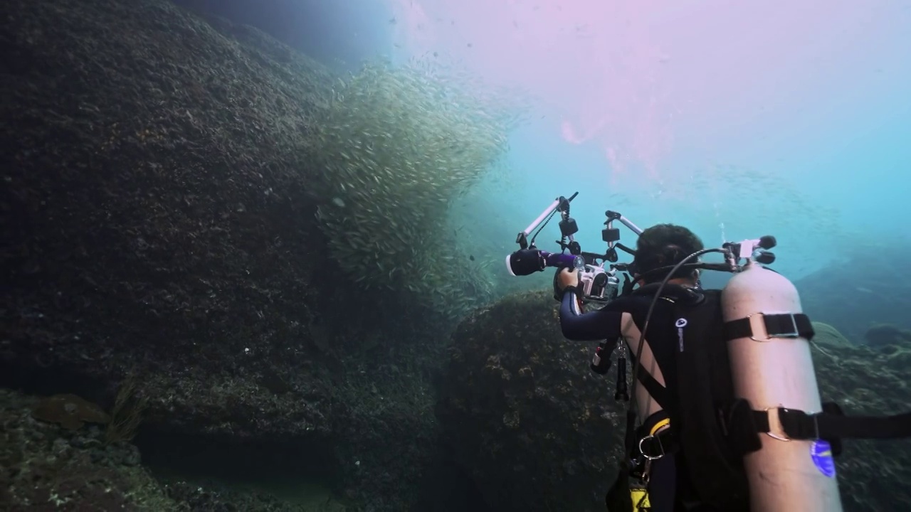 水下摄影师拍摄探索神奇的海底世界鱼群视频素材