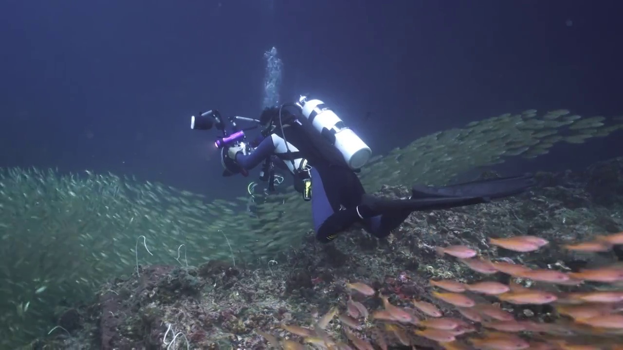 水下摄影师拍摄探索神奇的海底世界鱼群视频素材