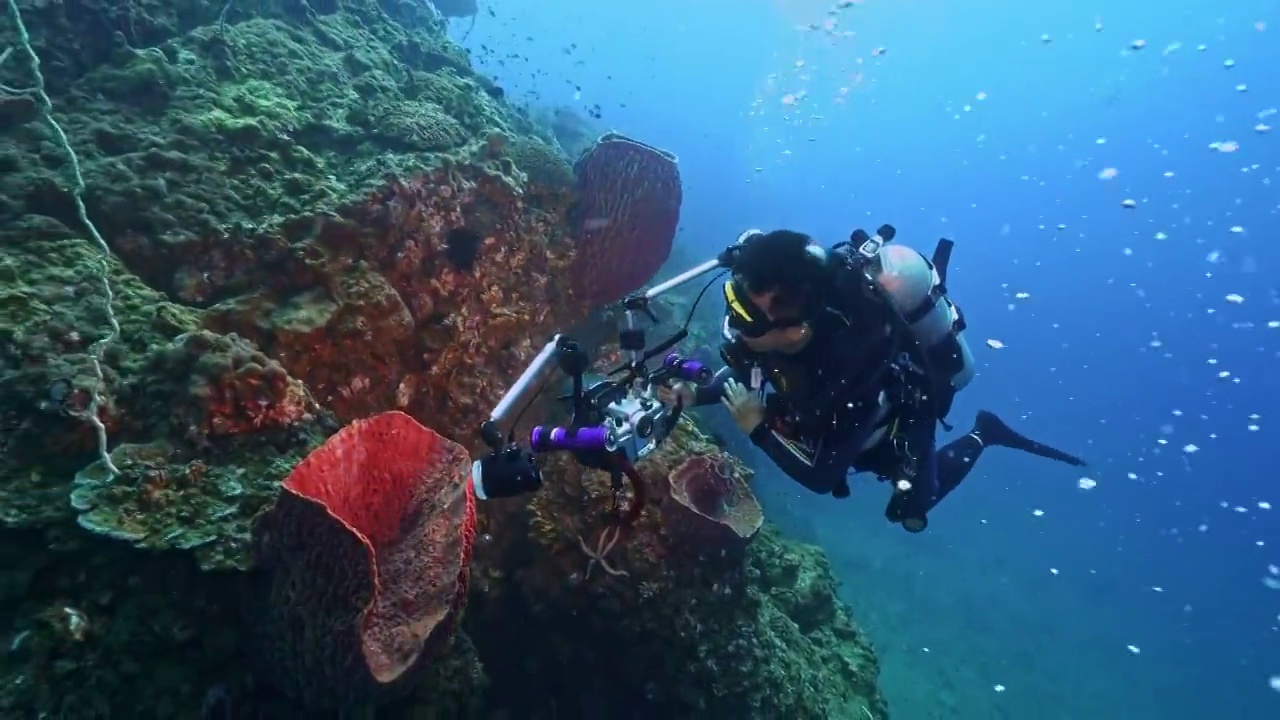 水下摄影师拍摄探索神奇的海底世界视频素材