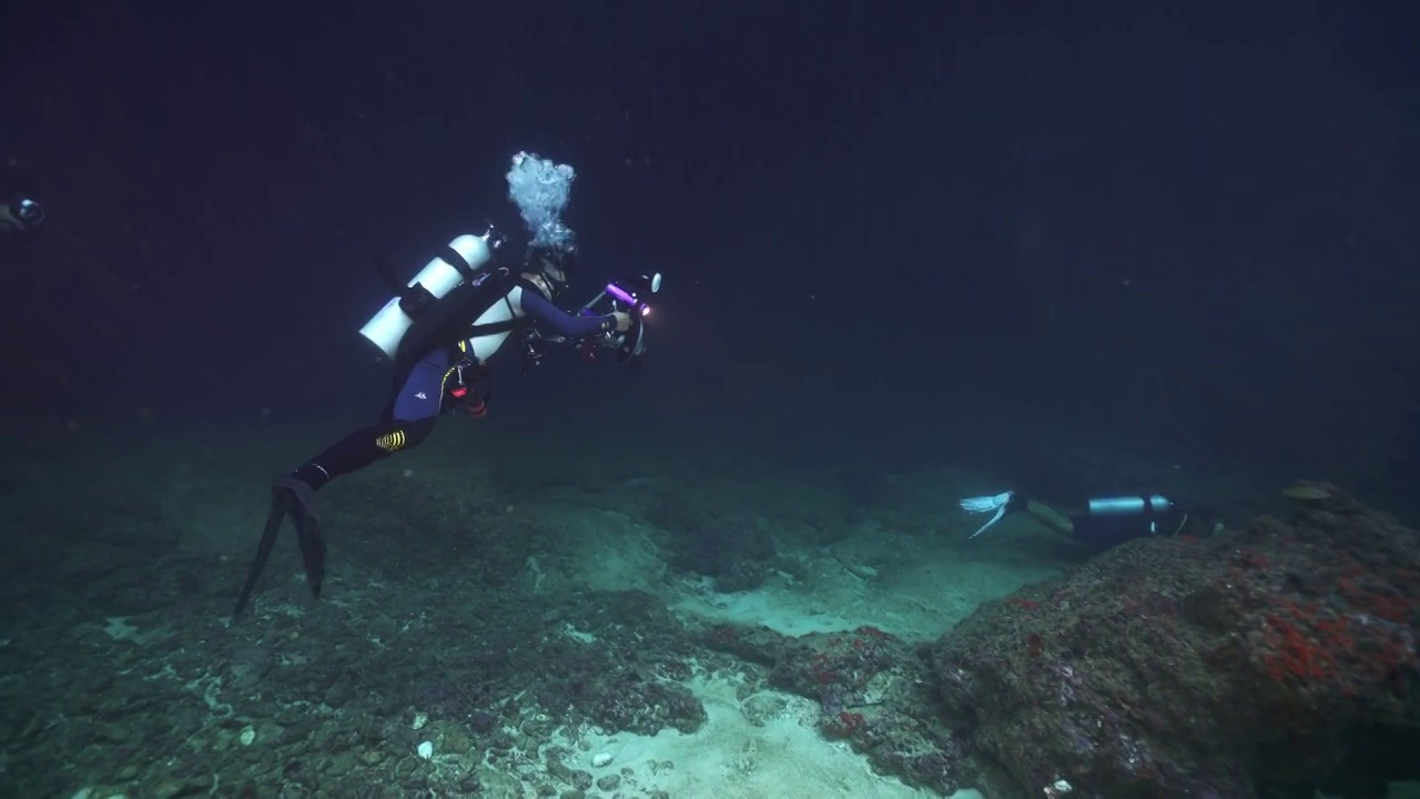 水下摄影师拍摄探索神奇的海底世界视频素材