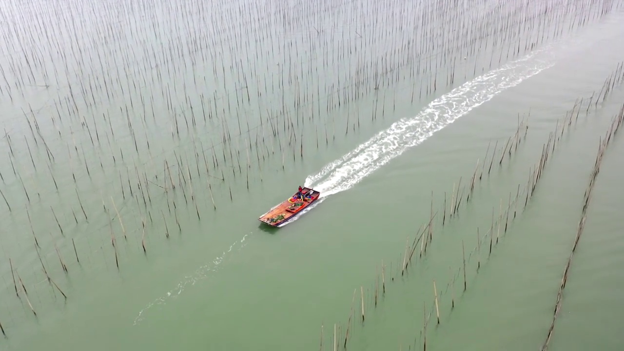 航拍福建霞浦海面渔船视频素材