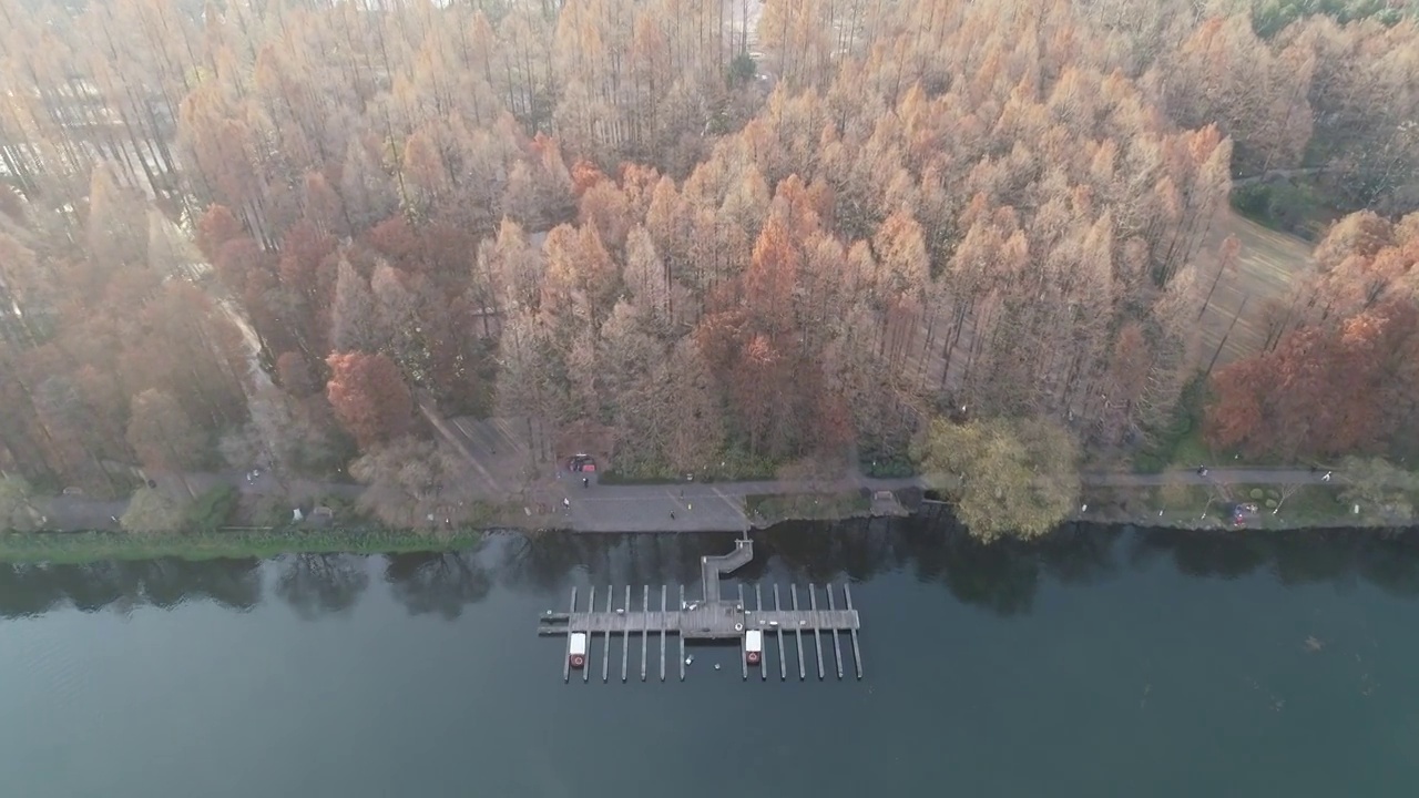 深秋时节的杭州西湖，美不胜收视频下载
