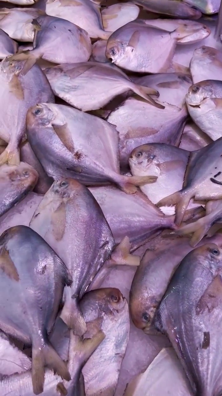 超市货架上展示的鱼类视频素材
