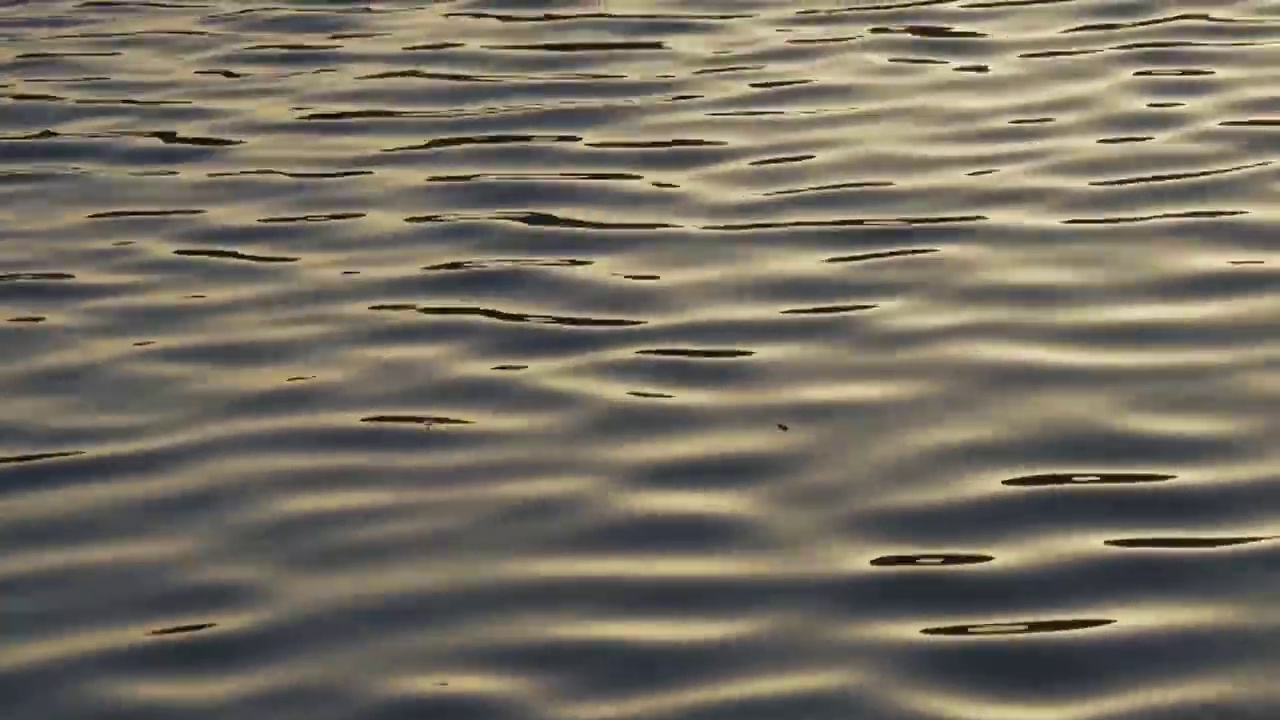 平静的水面波动视频素材