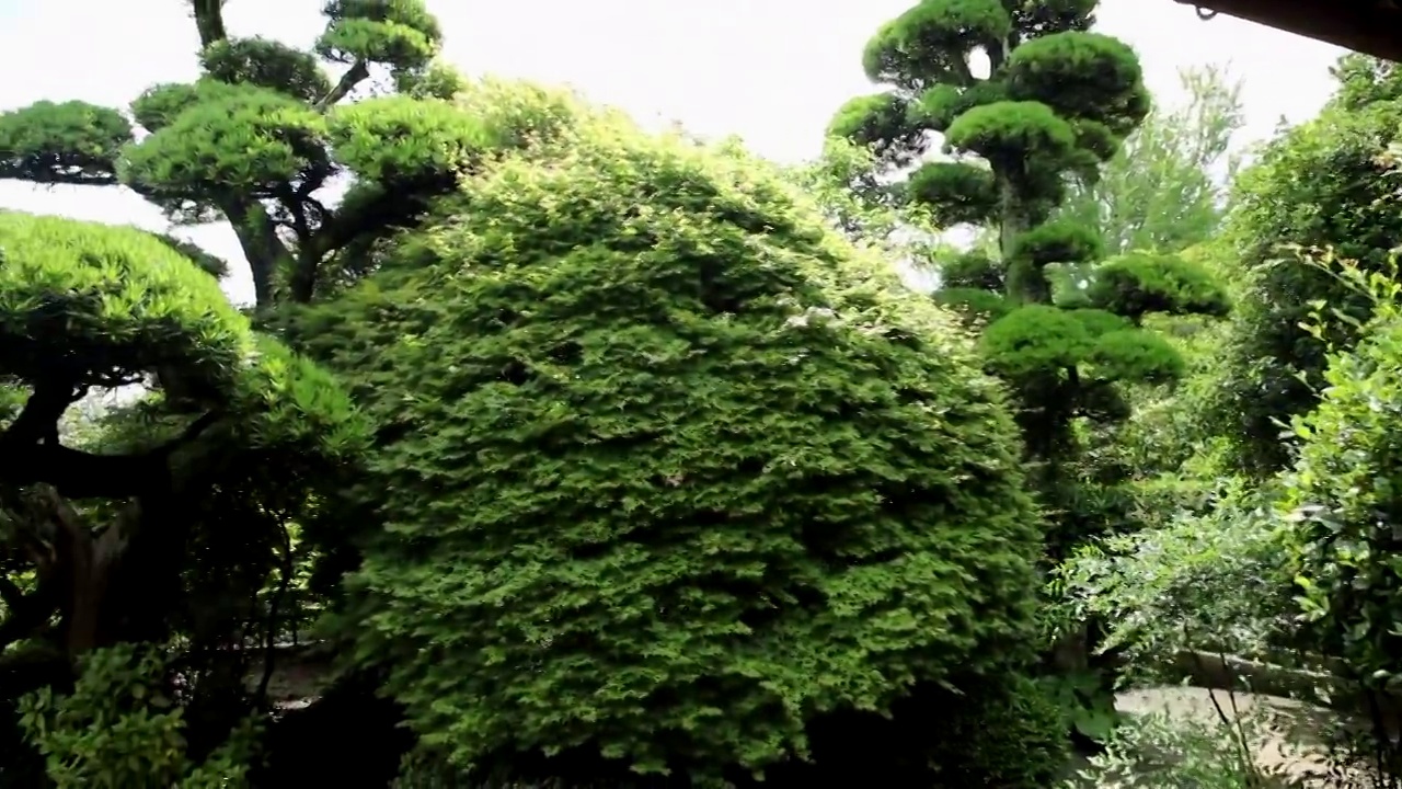 日本园林视频下载