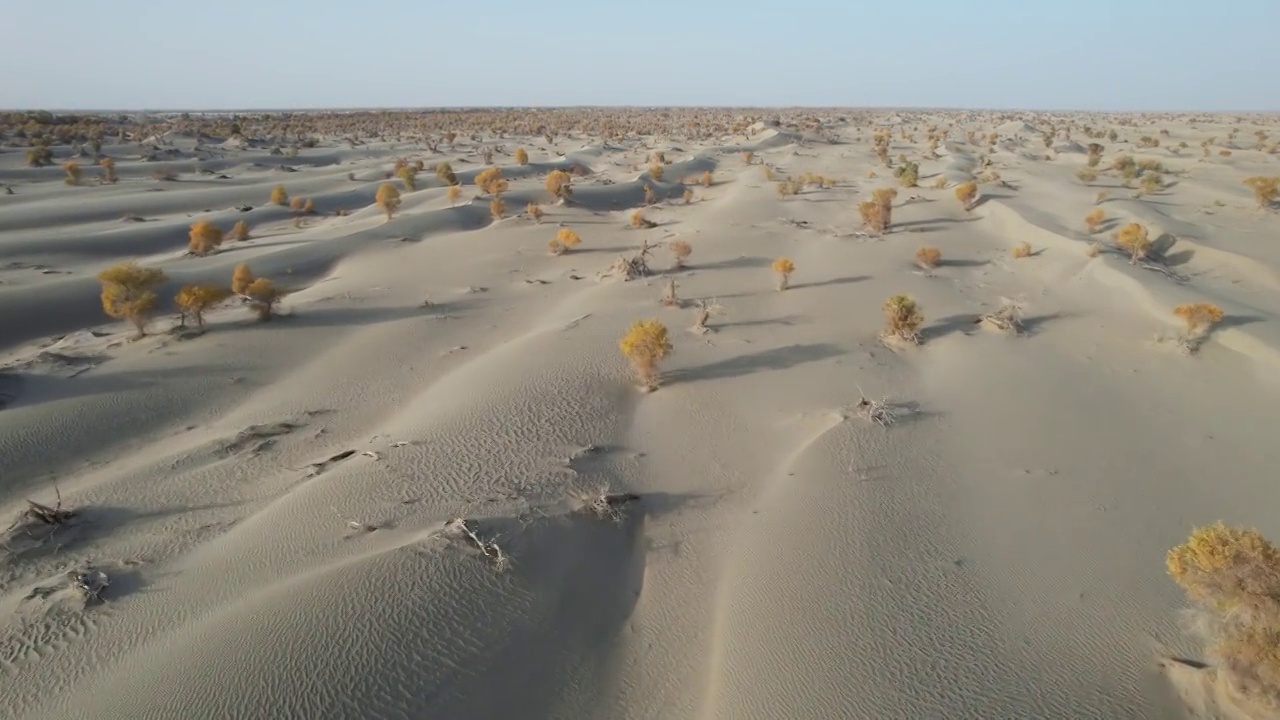 新疆塔里木盆地塔克拉玛干沙漠自然风光视频素材