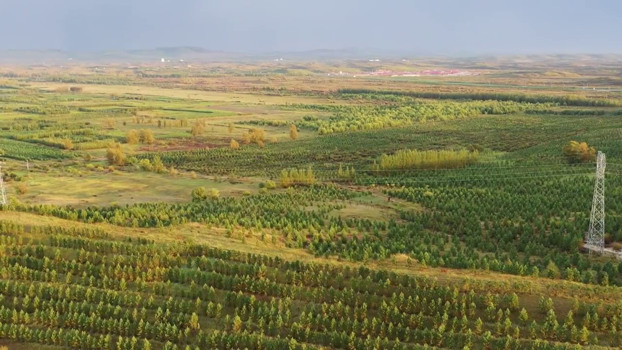 内蒙古自治区锡林郭勒盟：雨后多伦，草原更美视频素材