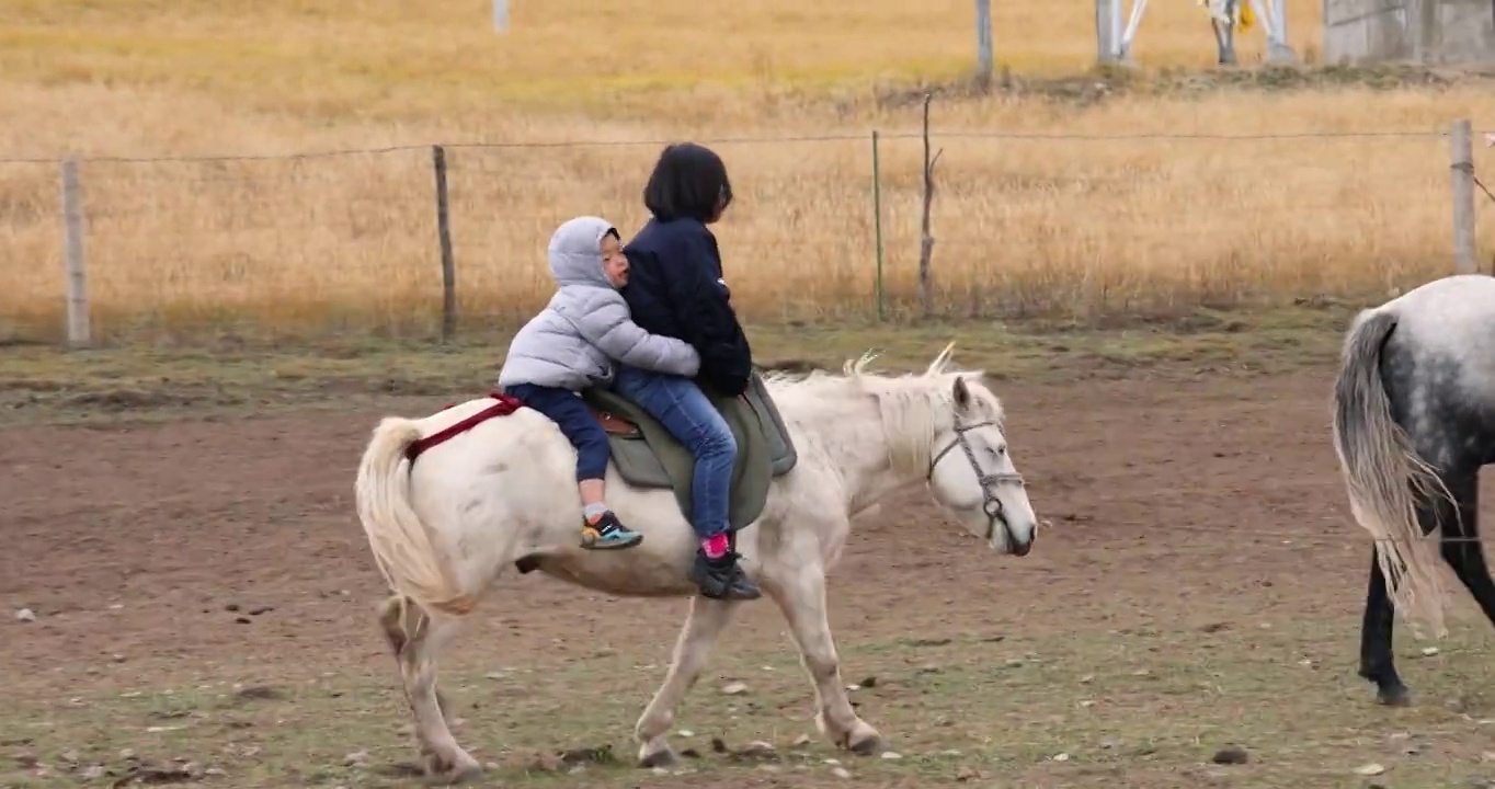 户外运动：在尕海湖附近大草原上学习骑马的母子视频下载