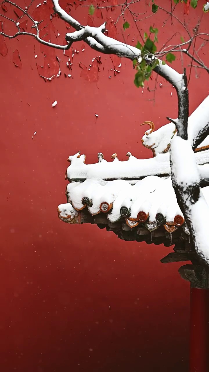 故宫冬天雪景视频素材